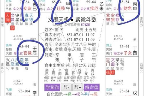 传媒公司紫薇斗数