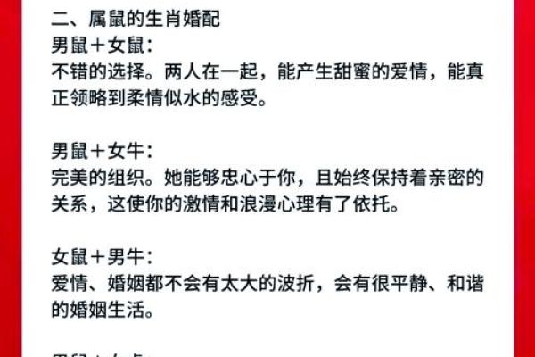 属鼠的女人和什么属相最配对 属鼠的女人和什么属相最配婚姻