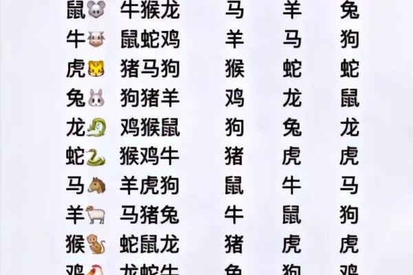 十二生肖配对表