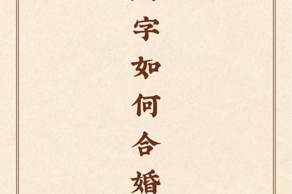 最好的合婚八字
