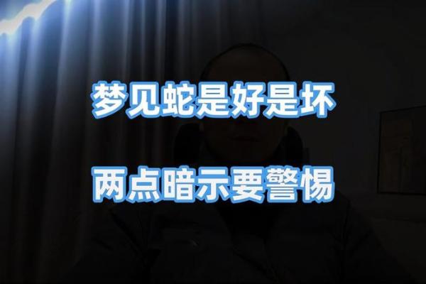 梦见房子风水不好有蛇