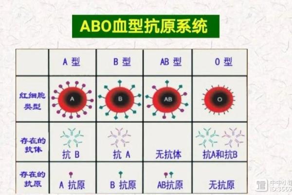 4种血型的流泪指数分析