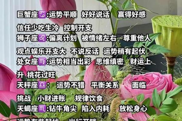 十二星座每周运势 十二星座每周运势最新