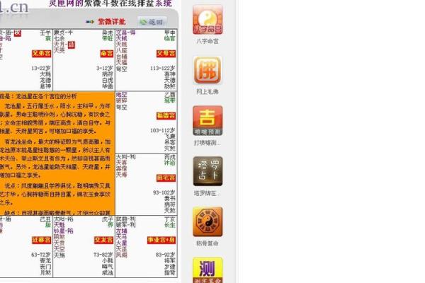 紫薇斗数与子平术