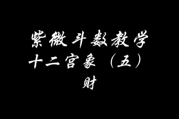 紫薇斗数火空则发多大财