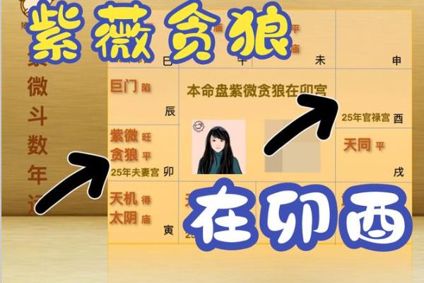紫薇斗数刑伤