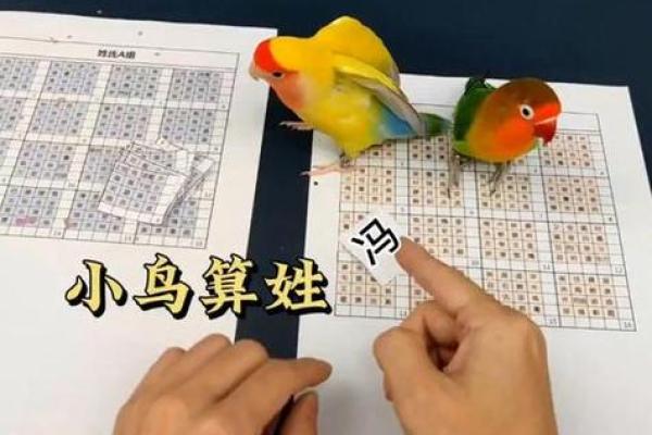 抽算命