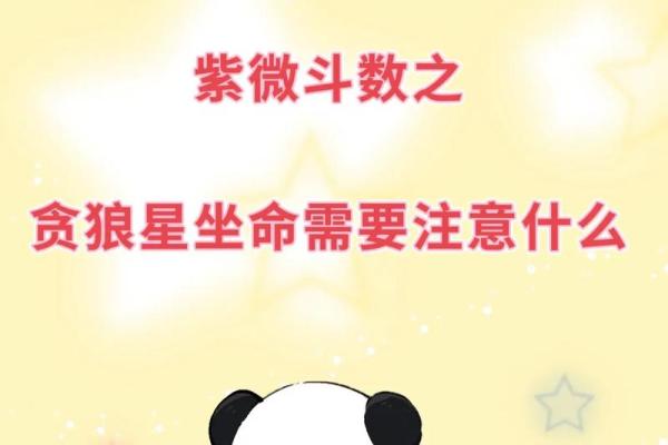 女命紫薇斗数夫妻宫贪狼