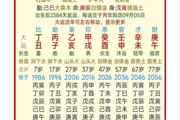 八字单项简批说明