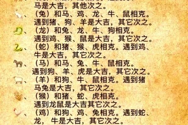 兔跟什么生肖配对最好 生肖兔最佳配对