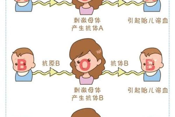 血型的搭配与夫妻关系