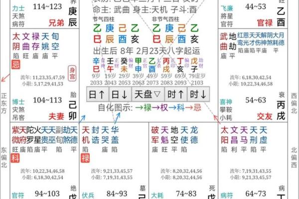 紫薇斗数怎么算命