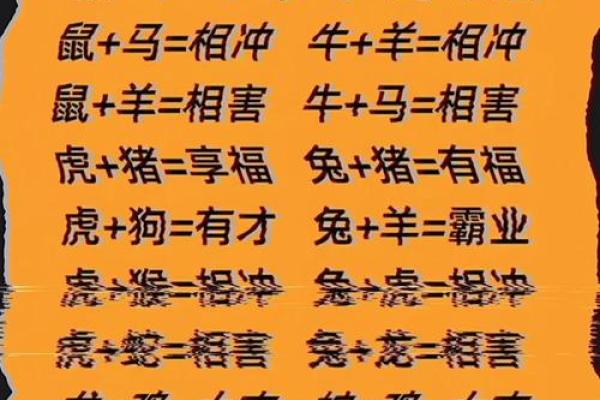 猪的生肖配对