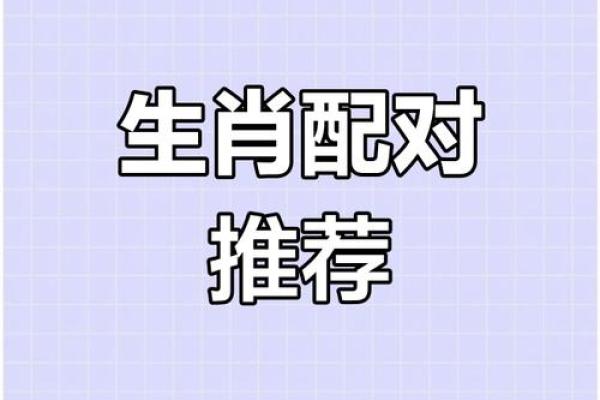 猪跟什么生肖配对最好 生肖猪最佳配对