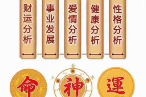 为什么有人信算命
