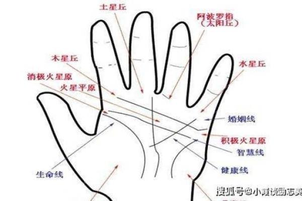 财运线是哪一条？财运线算命图解