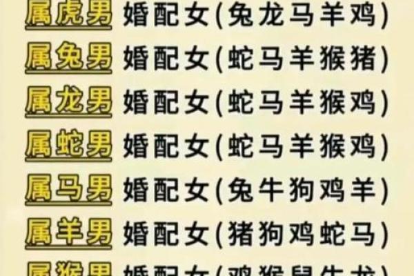 生肖配对是什么-合婚时生肖配对有多大影响