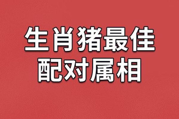 1983年属猪的婚配 1983年属猪的人应该和哪些生肖的人结婚配对