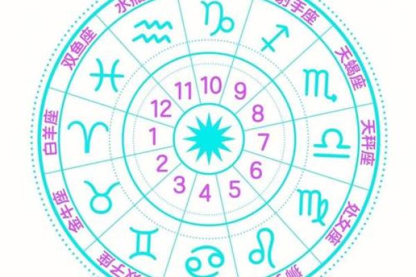 星盘十二宫代表什么 十二宫位详解