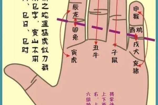 怎么用手算命
