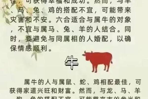 婚姻大忌的生肖配对