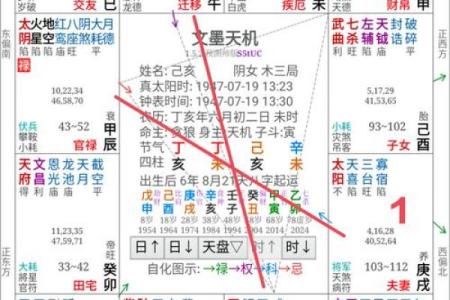 紫薇斗数怎么看