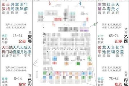 紫薇斗数案例解析