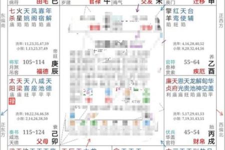 紫薇斗数丈夫富贵