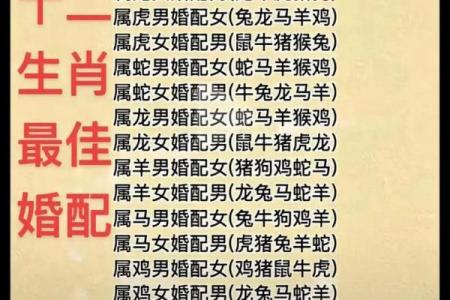 1978年属什么生肖 1978年属什么生肖配对最好