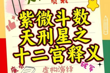 紫薇斗数冲破天罗地网