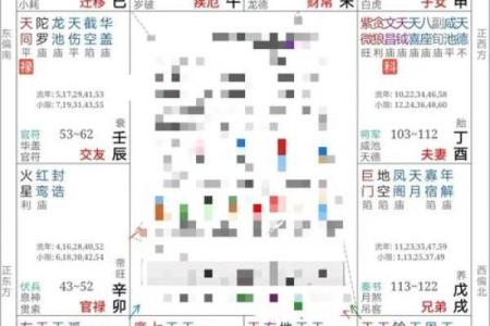 紫薇斗数疾厄戊申