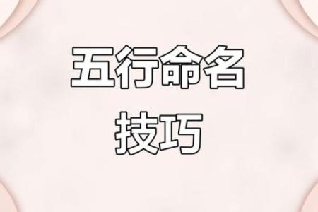 陈五行属什么 陈五行属于哪个星座
