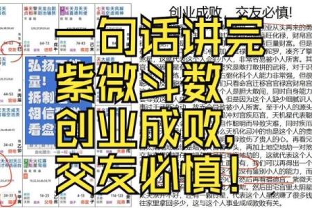 紫薇斗数看创业与否