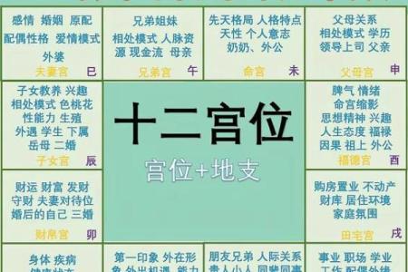 紫微斗数太阳星在各宫的影响