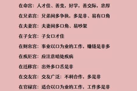 传媒公司紫薇斗数