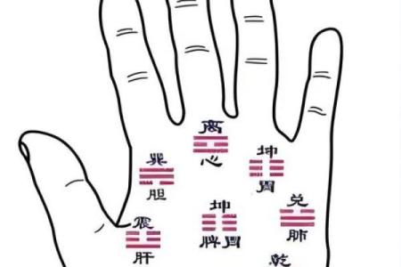 手相算命总论 手相算命大揭秘