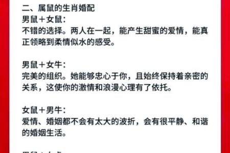 属鼠的女人和什么属相最配对 属鼠的女人和什么属相最配婚姻
