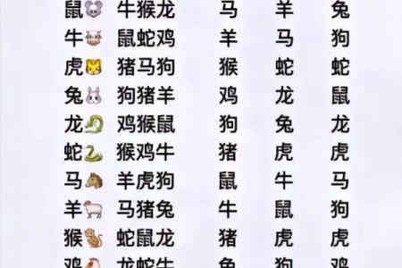 十二生肖配对表