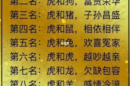 婚姻属相配对大全很准免费 十二生肖婚姻配对表