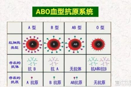4种血型的流泪指数分析