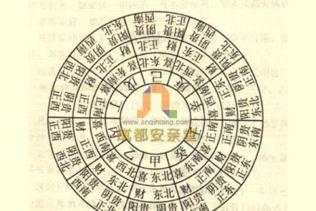属鼠的财神方位