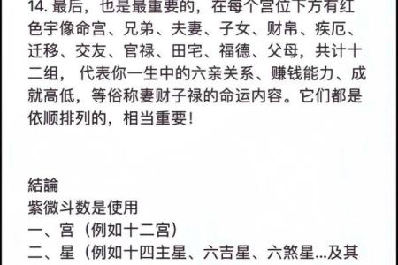大运紫微斗数命盘查询详解 紫微斗数大运什么意思？