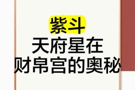 紫薇斗数紫薇星财锦