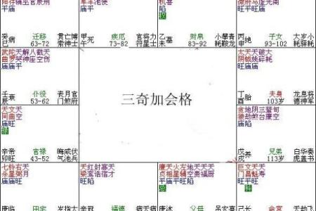 紫薇斗数中的加会是什么意思