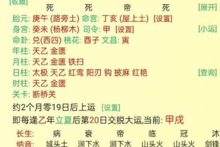 断八字大运吉凶最佳方法视频