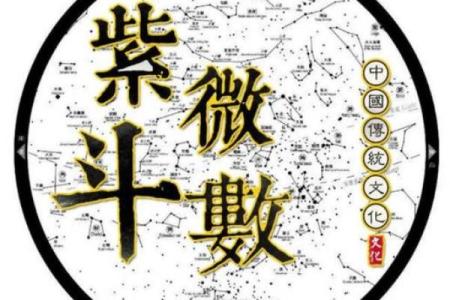 伟人紫薇斗数