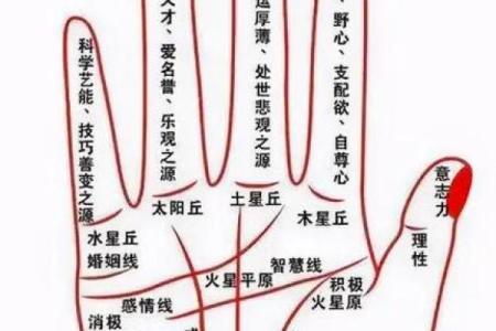 怎么看手相算命？只看男左女右对吗？