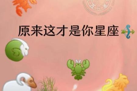 9月19日是什么星座