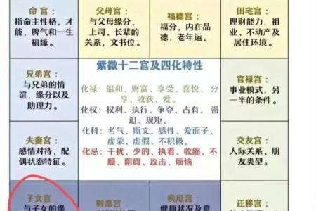 紫薇斗数盘下载