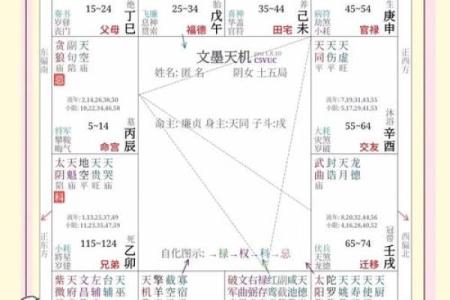紫微斗数化杀为权，掌握命运的秘密